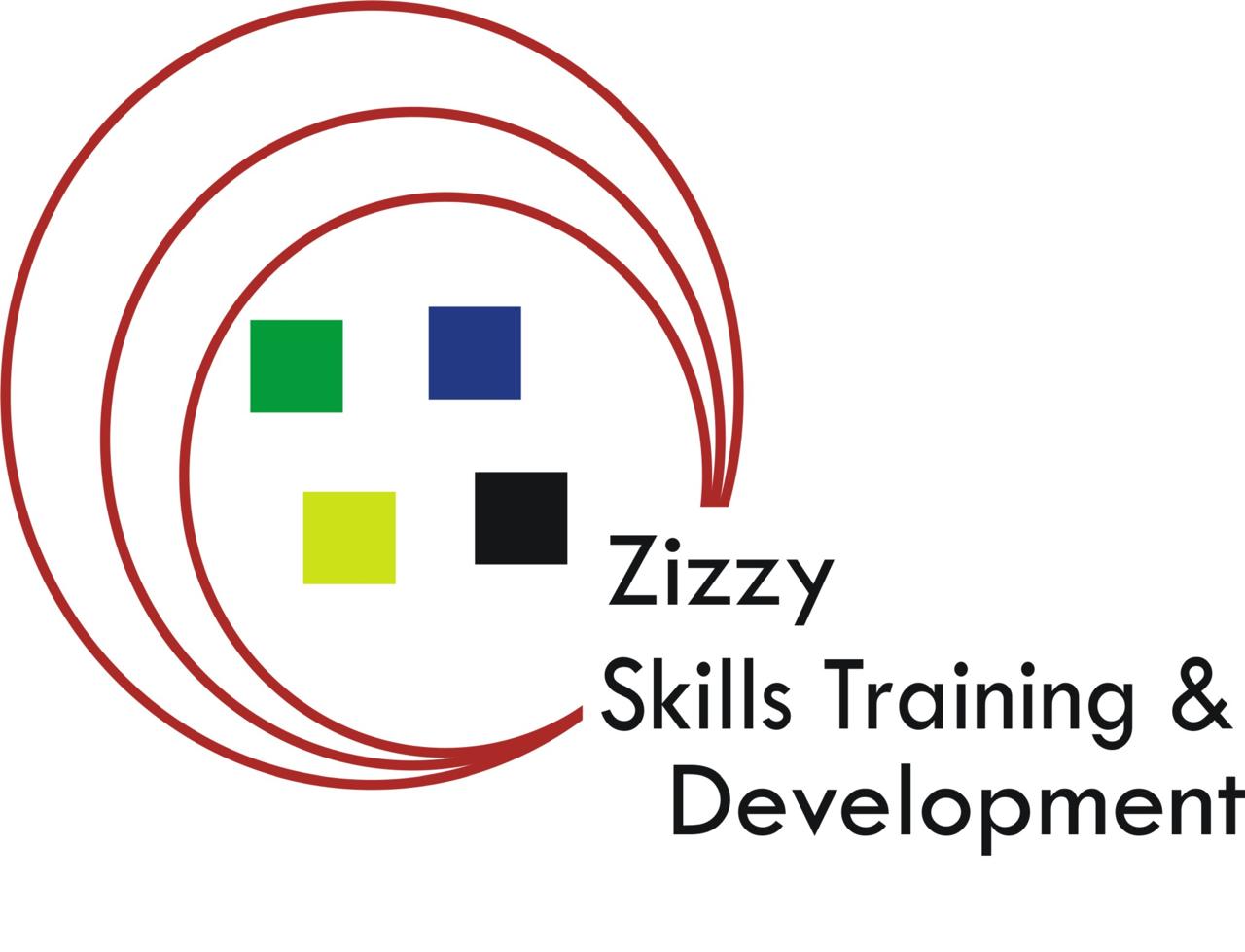 Zizzy Skills Logo